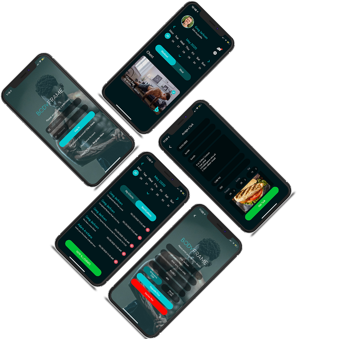 bodyframe app on screen