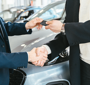 Automotive Rental Programs