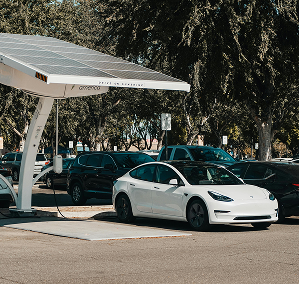 Electric Vehicle Rental