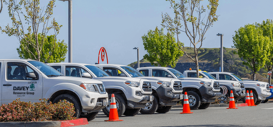 Fleet and Vehicle Management