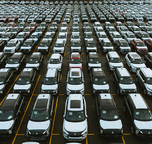 Public Sector Fleet