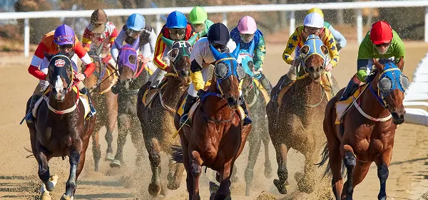 Horse Racing Betting AI Sports Betting Apps - Teqnovos